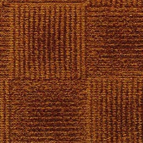  Condor Carpets Amazon 220