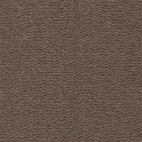  Best Wool Tasman
