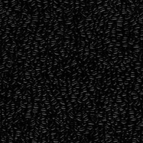  0242 Black
