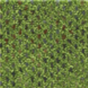  Infloor Caprice 440