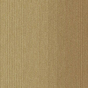  Interface