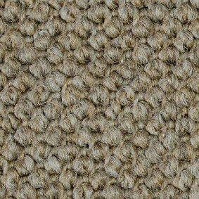  Carpet Concept Eco Cut