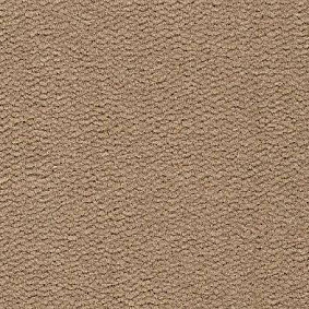  Best Wool