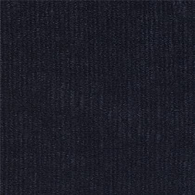  Tapibel