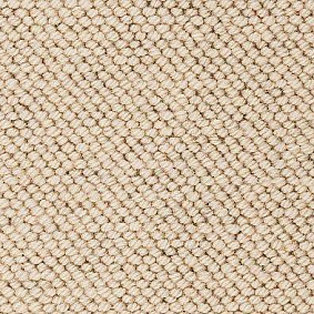  Best Wool
