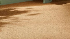 Ковролин Vorwerk Essential 1031 Vorwerk 2f28