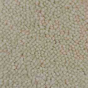  Condor Carpets Marriott