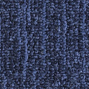  Balsan1 Balsan Jungle