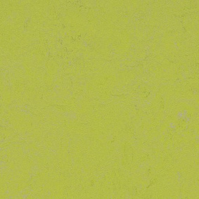  Forbo Marmoleum Solid Concrete