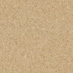  Forbo1 W12791u