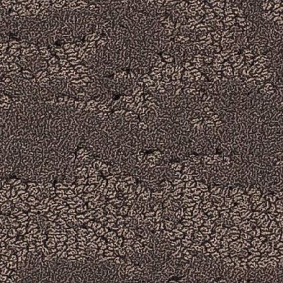  Balsan1 Balsan Groove