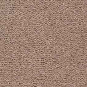  Best Wool Tasman