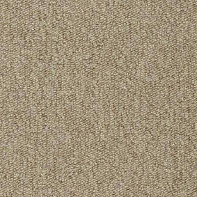  Vorwerk Passion 1005