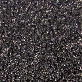  Tapibel 45551