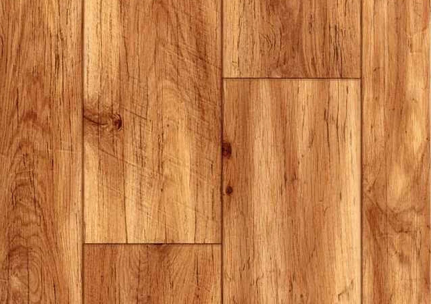 Линолеум Terrana 01 Eco 4203 252