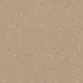  Polyflor Polysafe Verona Pur