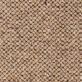  Best Wool Nature Jeddah 141