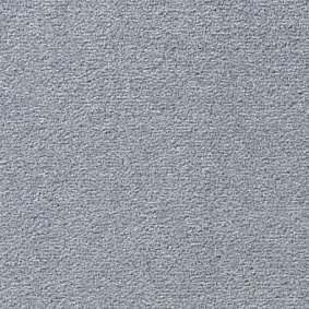 Vorwerk Passion 1004