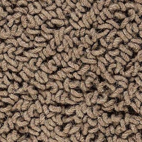  Best Wool Pure Royal Marquis 134