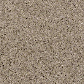  Shaw Design Texture Platinum