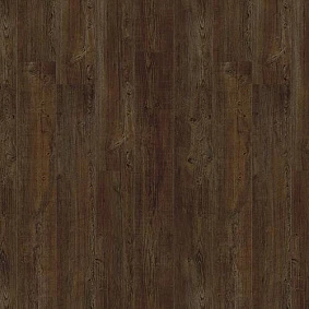  Latin Pine 24580