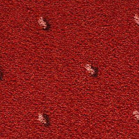  Condor Carpets Africa