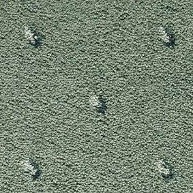  Condor Carpets Africa