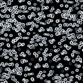 Forbo Flotex Sottsass Bacteria 990106