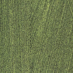  Milliken Facet Fct88 141 Forest