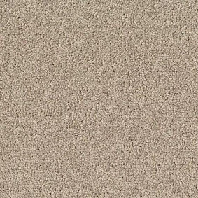  Desso1 Desso Palatino 1321