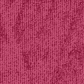  Balsan1 Balsan Toundra