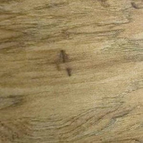  Floor Step Strong 11