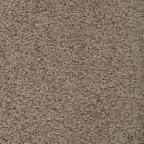  Ruscarpettiles Rct Signum 110