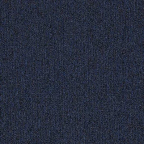  Interface 5595