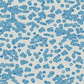  Forbo Flotex Sottsass Bacteria