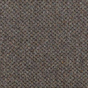 Ковролин Carpet Concept Goi 1 2807