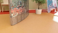 Линолеум Novoflor Extra Ideal 2800 10 