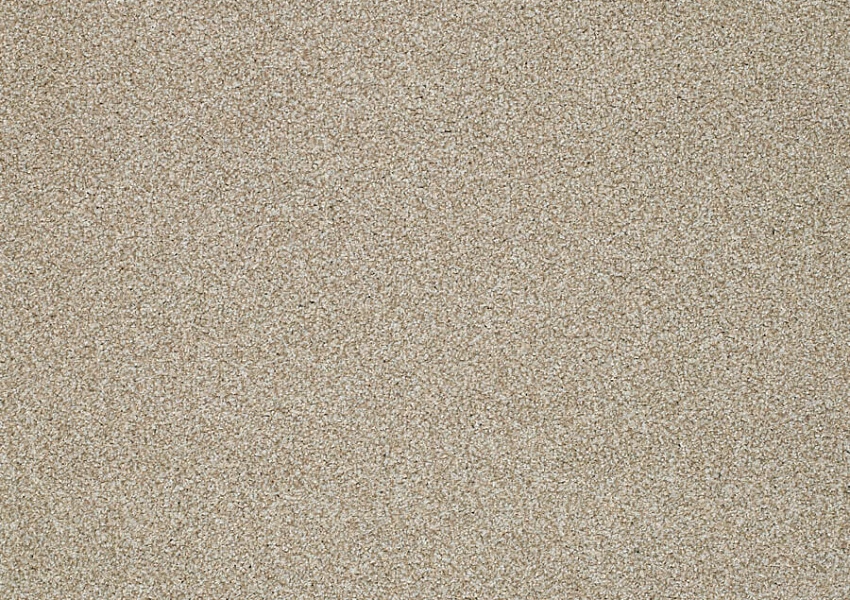Ковровая плитка Tecsom 4900 Avenue T4900 063