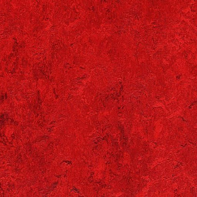  Forbo Marmoleum Decibel