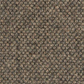 Best Wool