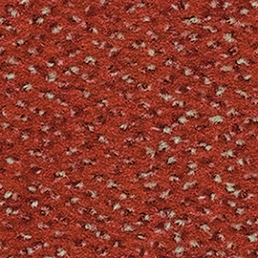  Balsan1 Balsan Zenith