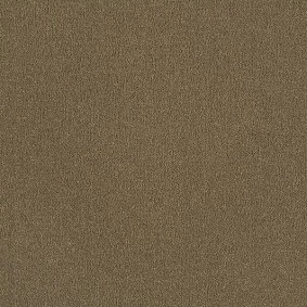  Interface 542055