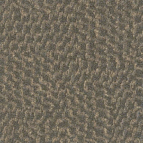  Enia Tecsom Decostructure Dune 00082