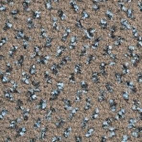  Balsan1