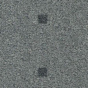 Vorwerk Passion 1045