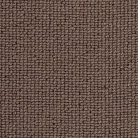 Best Wool