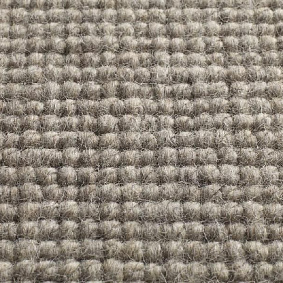  Jacaranda Carpets Chandigarh