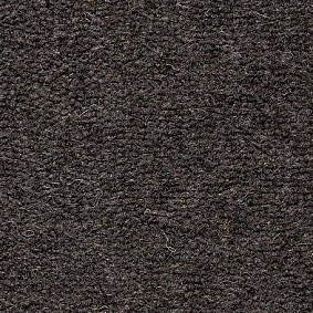  Best Wool