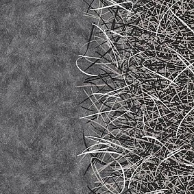  Forbo Flotex By Starck Vortex 312001 White A2