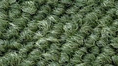 Ковровая плитка Tessera Create Space 1 1823 Jadeite